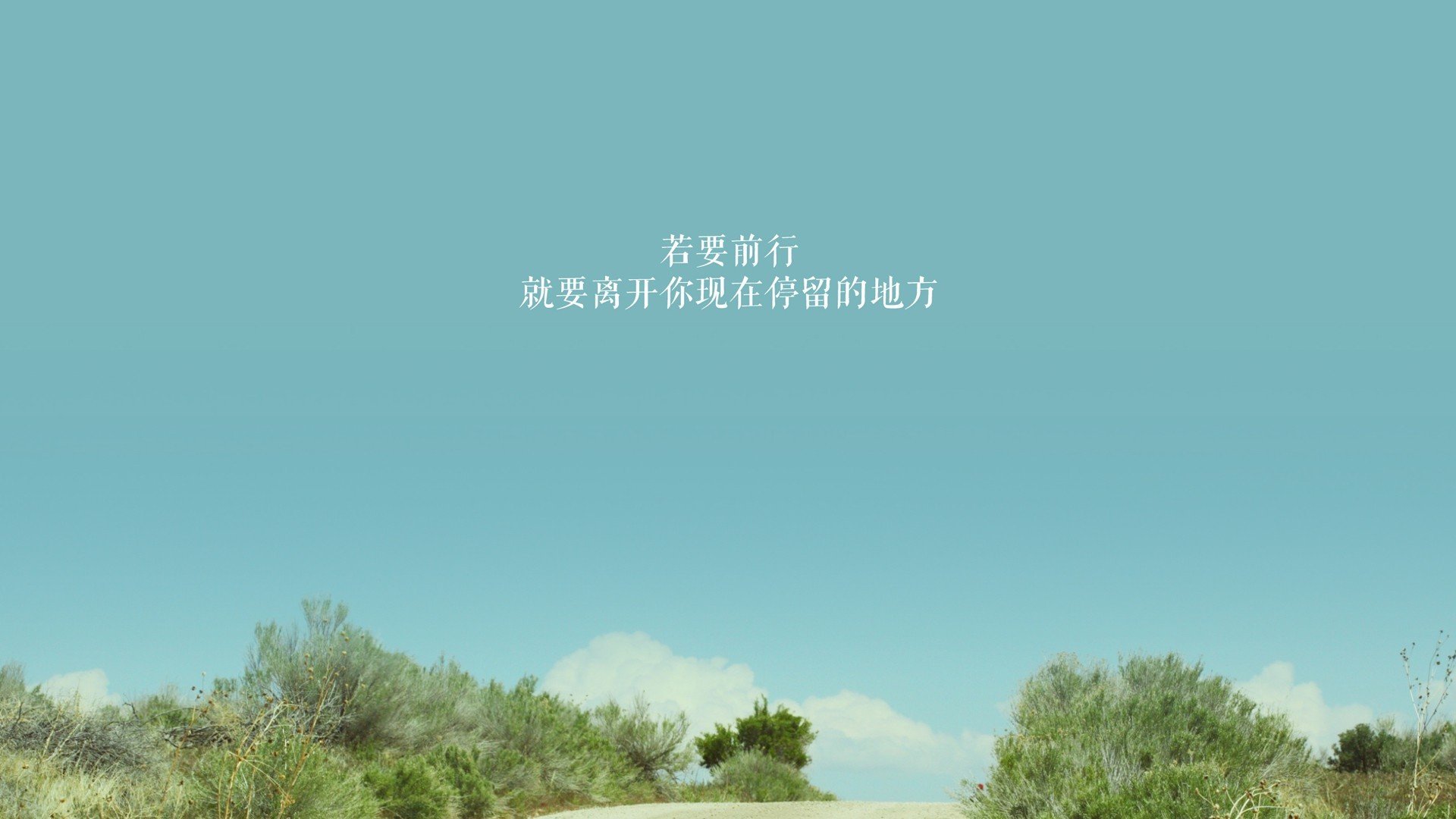 网球双打:默契配合的极致展现,网球双打是什么意思