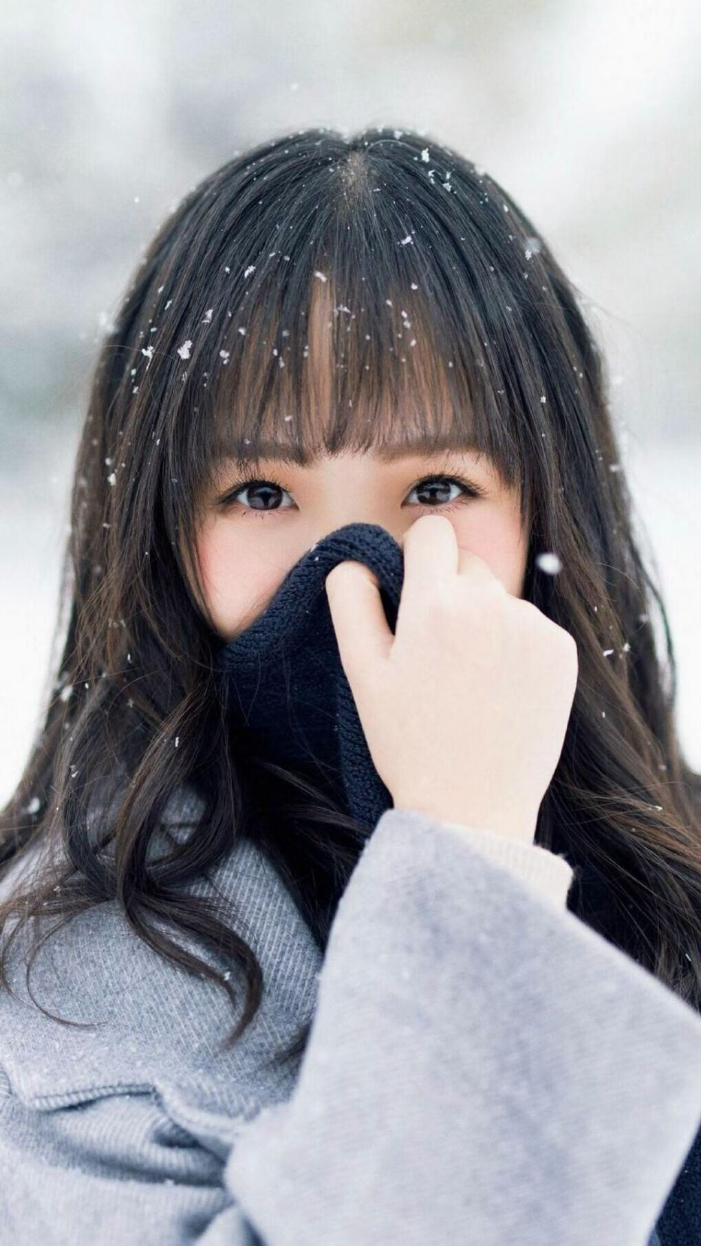 赛道背后:车队运营与策略的幕后揭秘,车队赛是什么意思