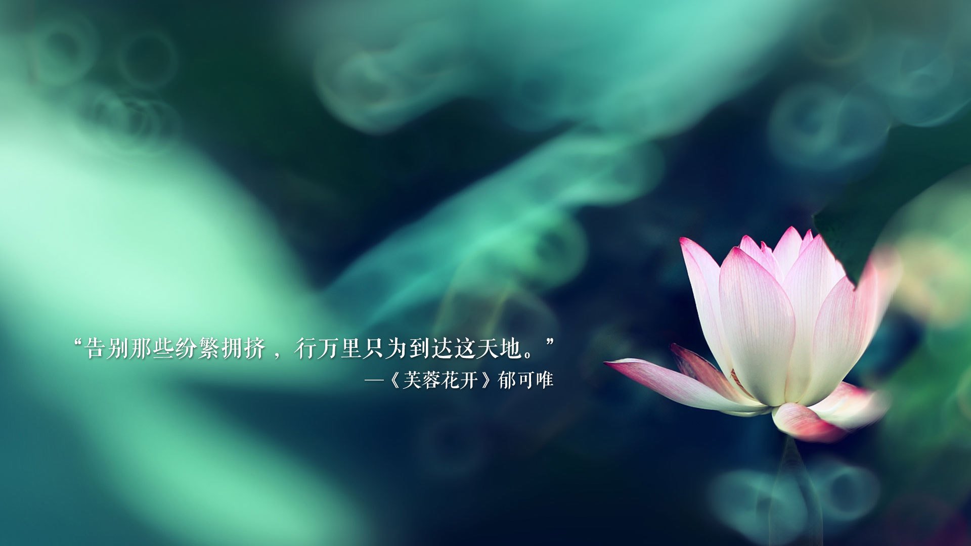 克罗地亚手球队在巴黎奥运会上展现了强大的进攻火力,克罗地亚 队