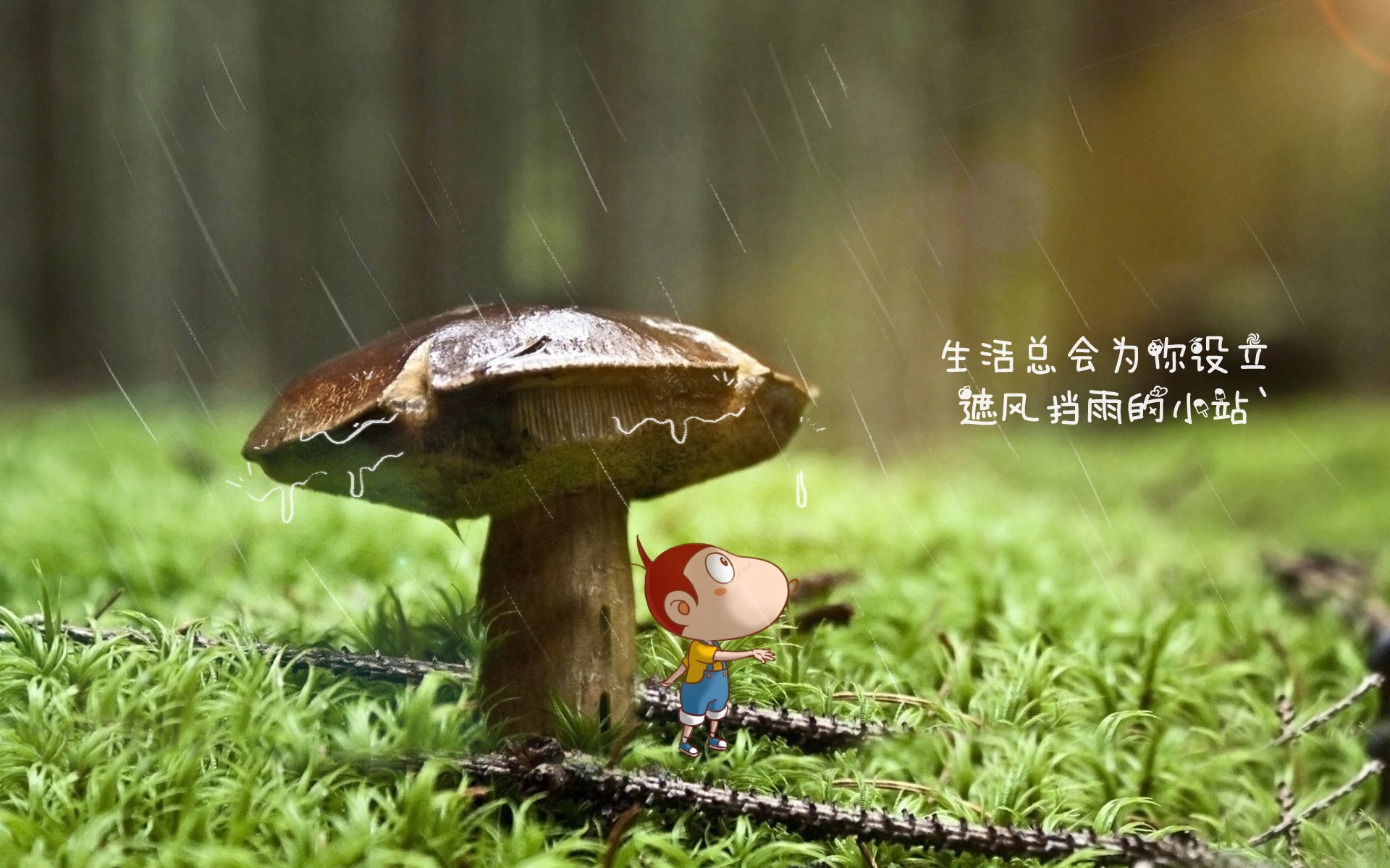 凯尔特人球队替补贡献持续上升,凯尔特人队球员